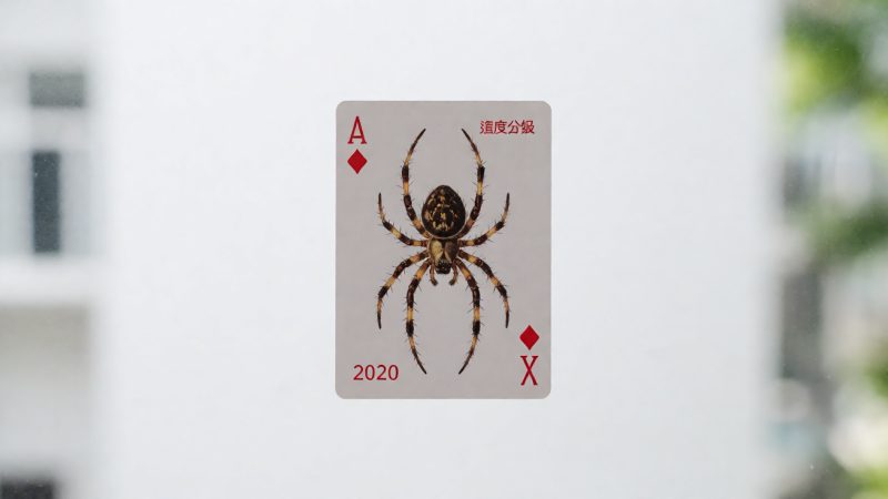 蜘蛛 纸牌 2020 难度分级与牌组数量:单花色 配图